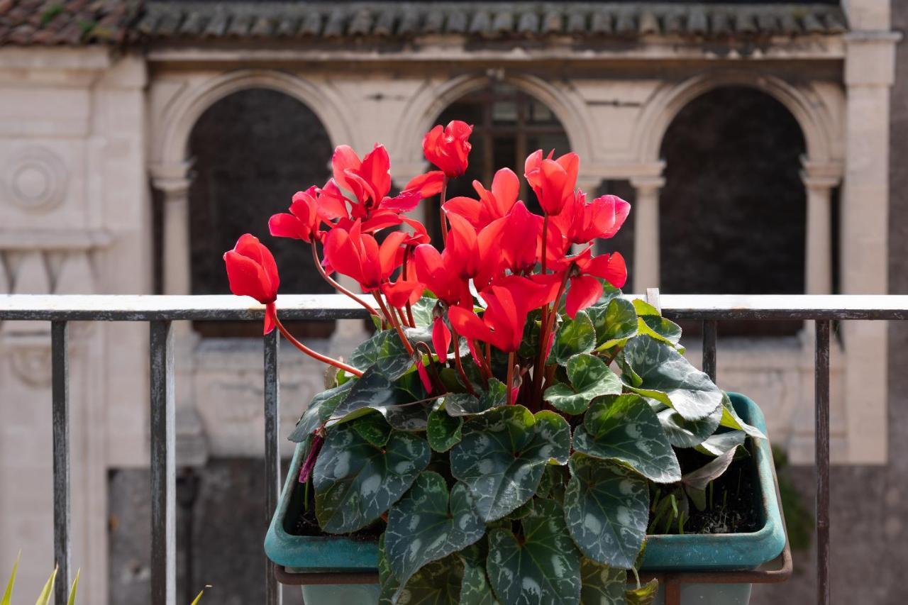 Terrazza Santa Chiara Bed & Breakfast Catania Luaran gambar